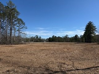 The same property after forestry mulching, open and clean as a park