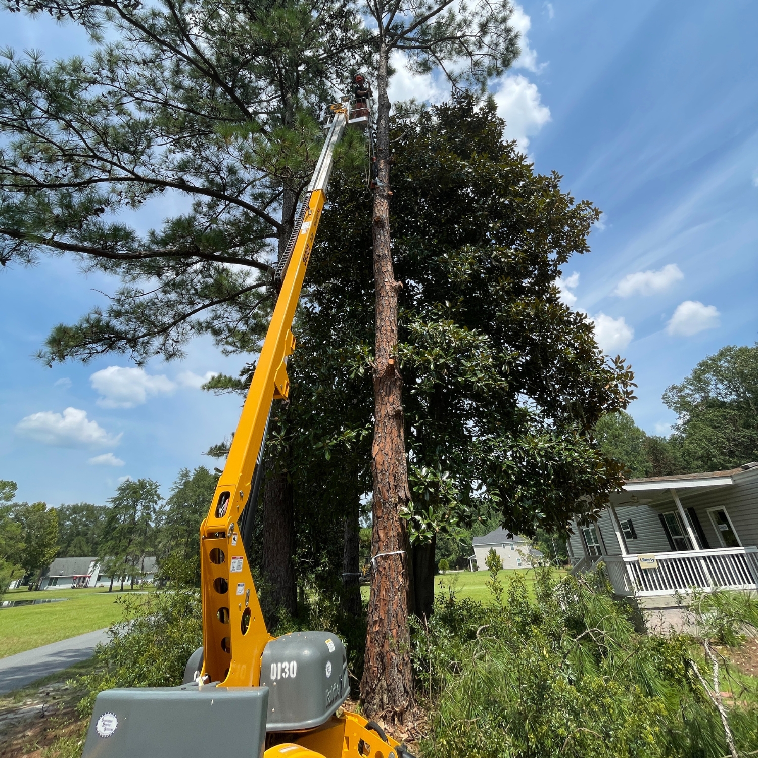 Land clearing crew working together beside heavy equipment on a rural jobsite
